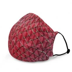 FinfolkProductions Face Masks Dragonheart Face Mask 9 FinfolkProductions Face Masks Dragonheart Face Mask