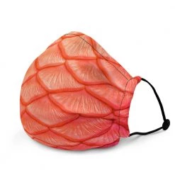 FinfolkProductions Peachy Keen Face Mask