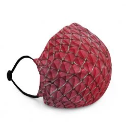 FinfolkProductions Face Masks Dragonheart Face Mask 7 FinfolkProductions Face Masks Dragonheart Face Mask