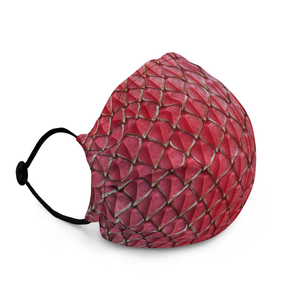 FinfolkProductions Face Masks Dragonheart Face Mask 3 FinfolkProductions Face Masks Dragonheart Face Mask