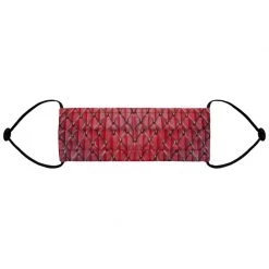 FinfolkProductions Face Masks Dragonheart Face Mask