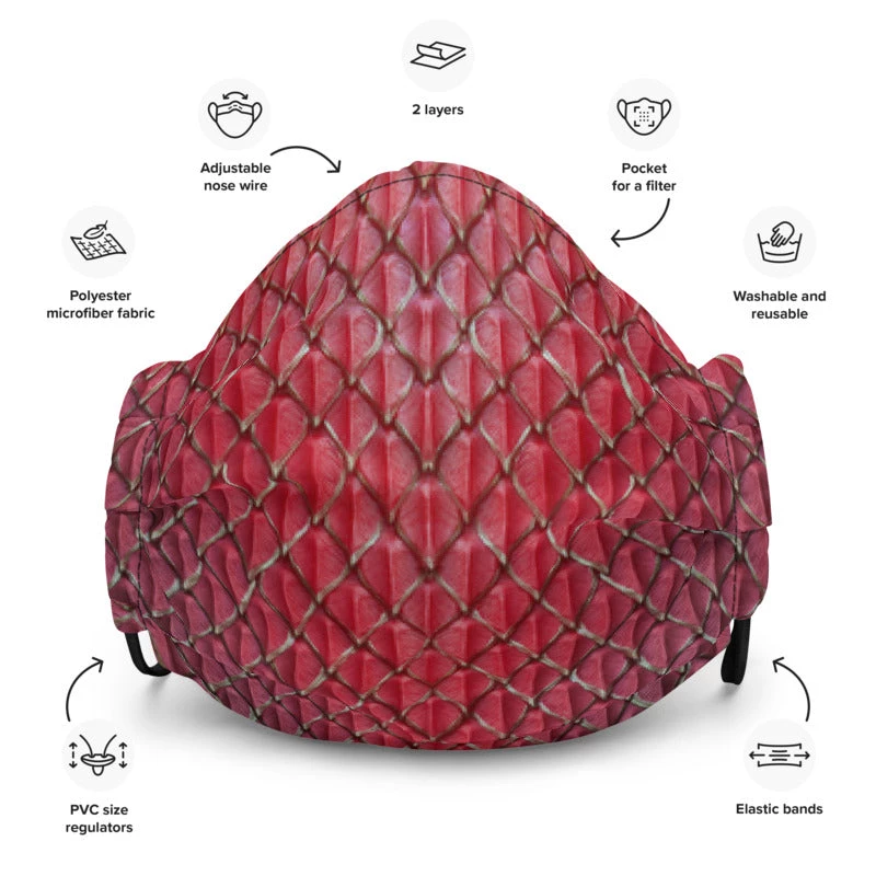 FinfolkProductions Face Masks Dragonheart Face Mask 1 FinfolkProductions Face Masks Dragonheart Face Mask